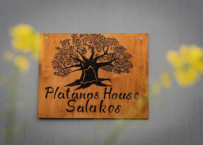 Platanos House Salakos